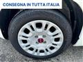 FIAT PANDA VAN FURGONE+IVA 1.2 EASY VAN N1 4 POSTI POCHI KM-E6D-