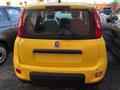 FIAT PANDA 1.0 FireFly S&S Hybrid Pandina