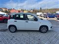 FIAT PANDA 1.3 MJT S&S Lounge