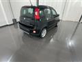 FIAT PANDA 1.0 FireFly S&S Hybrid City Life #VARI COLORI