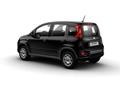 FIAT PANDA 1.0 FireFly S&S Hybrid MY 2024 KM ZERO