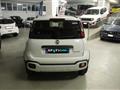 FIAT PANDA 1.0 FireFly S&S Hybrid Cross