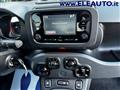 FIAT PANDA 1.0 FireFly S&S Hybrid - Neopatentati