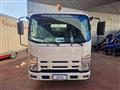 ISUZU N-EVOLUTION L35 F 3.0 TDI RG Cabinato