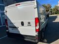 FIAT DUCATO 30 2.3 MJT 140CV PC-TN Furgone L2 - H1