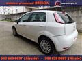 FIAT PUNTO 1.2 8V 5 porte Easy