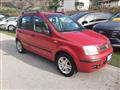 FIAT PANDA 1.2 Alessi Emotion - OK NEOPATENTATI -