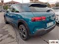 CITROEN C4 Cactus 1.5 bluehdi Shine s&s 100cv