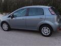 FIAT Punto 5p 1.3 mjt II 16v Lounge 75cv my13